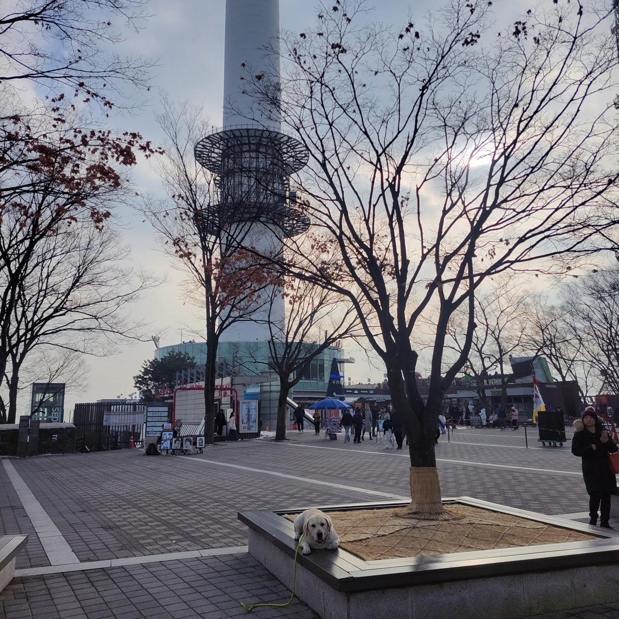 Newly Renovated 2 Bedroom #7 首爾